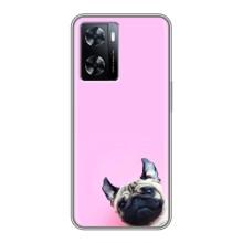 Чохли з собаками для OnePlus Nord N20 SE (VPrint) (Смішна собака)