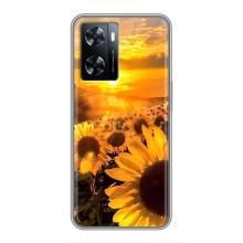Чехол с Цветами для OnePlus Nord N20 SE (поле подсолнухов)