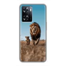 Чехол Король лев на ВанПлас Норд 20СЕ (Мусафа и Симба)