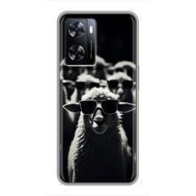 Чехол с принтом стильные животные для ВанПлас Норд 20СЕ (Овечка в очках)