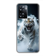 Чехол с картинкой «Хищники» для OnePlus Nord N20 SE – Тигр