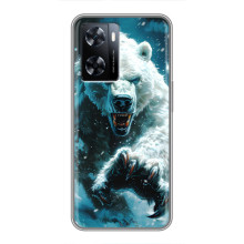 Чехол с картинкой «Хищники» для OnePlus Nord N20 SE – Медведь