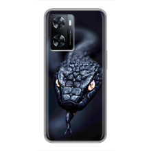 Чехол с картинкой «Хищники» для OnePlus Nord N20 SE – Змея