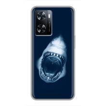 Силиконовый бампер с картинкой животных для OnePlus Nord N20 SE (Пасть Акулы)
