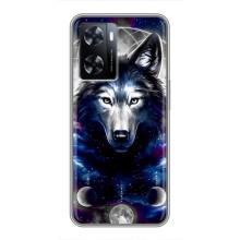 Защитные чехлы для ВанПлас Норд 20СЕ (AlphaPrint) (ХИТ продаж) ВОЛК (Волк)