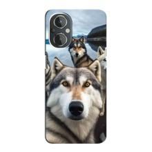 Чохол з Хаскі OnePlus Nord N20 - (AlphaPrint) (Селфі Хаскі)