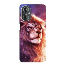 Чехол со Львом для OnePlus Nord N20 (VPrint) (Красочный Лев)
