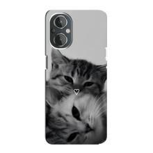 Чохол з малюнком кіт на OnePlus Nord N20 – Пара котів