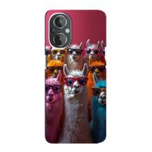 Чохол з принтом стильні тварини для ВанПлас Норд Н20 – Лами в окулярах