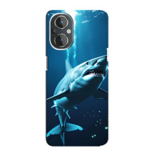 Чохол з картинкою 'Хижаки' для OnePlus Nord N20 – Акула