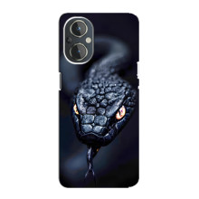 Чохол з картинкою 'Хижаки' для OnePlus Nord N20 – Змія