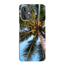 Силиконовый чехол с КАРТИНКАМИ лето для OnePlus Nord N20 (AlphaPrint) – Пальма