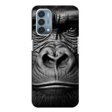 Чехлы с Горилой на ВанПлас Норд Н200 (5G) – Черная обезьяна