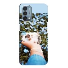 Чехлы с изображением разных животных для OnePlus Nord N200 5G (DE211) (Ежик на руках)