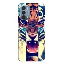 Чехлы с изображением разных животных для OnePlus Nord N200 5G (DE211) (Яркий Тигр)