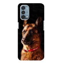 Чохли з картинкою животних OnePlus Nord N200 5G (DE211) (Овчарка)