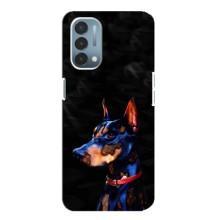 Чохли з картинкою животних OnePlus Nord N200 5G (DE211) (Собака)