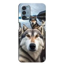 Чохол з Хаскі OnePlus Nord N200 5G (DE211) - (AlphaPrint) (Селфі Хаскі)