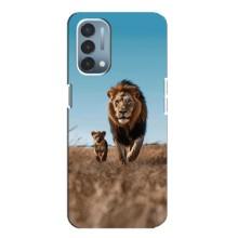 Чехол Король лев на ВанПлас Норд Н200 5G (Мусафа и Симба)