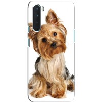 Чехол (ТПУ) Милые собачки для OnePlus Nord (Собака Терьер)