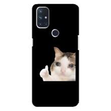 Бампер з принтом Меми для OnePlus Nord 10 5G – Кіт у сльозах