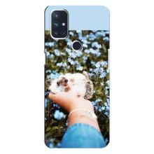 Чехлы с изображением разных животных для OnePlus Nord 10 5G (Ежик на руках)