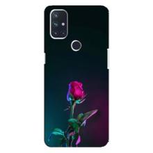 Чехлы с принтом Розочки для OnePlus Nord 10 5G – Ночная роза