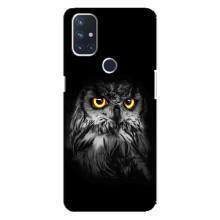 Чехлы с принтом СОВЫ для OnePlus Nord 10 5G – Сова на чёрном