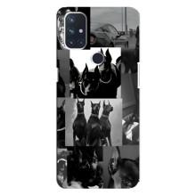 Чехол ДОБЕРМАН для OnePlus Nord 10 5G – Коллаж Доберман