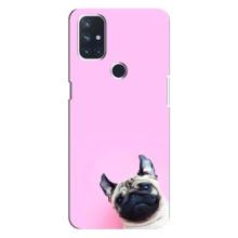 Бампер для OnePlus Nord 10 5G з картинкою "Песики" (Собака на рожевому)