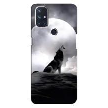 Чохол з Вовком на OnePlus Nord 10 5G – Вовк і місяць