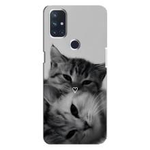 Чохол з малюнком кіт на OnePlus Nord 10 5G – Пара котів