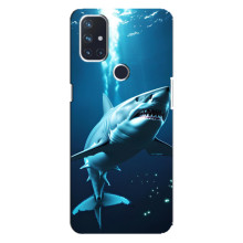 Чехол с картинкой «Хищники» для OnePlus Nord 10 5G – Акула