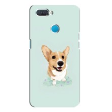 Чехлы с собаками для OPPO A12 (VPrint) (Корги)