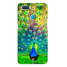 Чехол с птицами на OPPO A12 (VPrint) (Яркий Павлин)