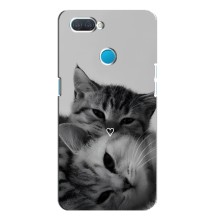 Чехол с рисунком кот на OPPO A12 (Пара котов)