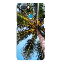 Силиконовый чехол с КАРТИНКАМИ лето для OPPO A12 (AlphaPrint) (Пальма)