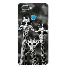 Силиконовый чехол с КАРТИНКАМИ лето для OPPO A12 (AlphaPrint) (Жирафы в очках)