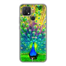 Чехол с птицами на OPPO A15 (VPrint) (Яркий Павлин)