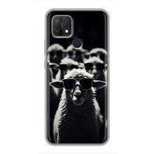 Чехол с принтом стильные животные для Оппо А15с – Овечка в очках
