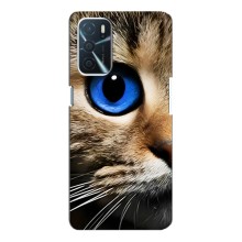 Чехлы с Котиками для Oppo A16 (VPrint) (Глаз кота)