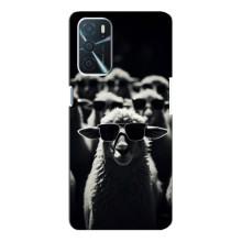 Чехол с принтом стильные животные для Оппо А16 (Овечка в очках)
