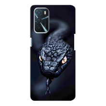 Чехол с картинкой «Хищники» для Oppo A16 – Змея