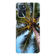 Силиконовый чехол с КАРТИНКАМИ лето для Oppo A16 (AlphaPrint) – Пальма