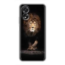 Чохол з картинкою ЛЕВ для Oppo A17 (VPrint) (Лев)