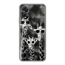 Силіконовий чохол з КАРТИНКАМИ літо для Oppo A17 (AlphaPrint) (Жирафи в окулярах)