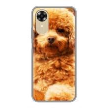 Чехлы с собаками для Oppo A17k (VPrint) (Щенок Бишон)