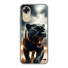 Чехол с картинкой «Хищники» для Oppo A17k – Пантера