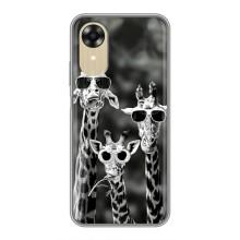 Силиконовый чехол с КАРТИНКАМИ лето для Oppo A17k (AlphaPrint) (Жирафы в очках)