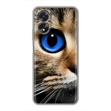 Чехлы с Котиками для Oppo A18 (VPrint) (Глаз кота)